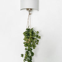 Home Accessories