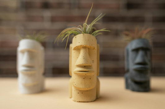 home accessories